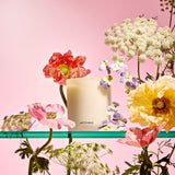 APOTHEKE · Elderflower Sugar Classic Candle | socius design in Rochester, MN