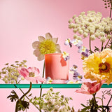 APOTHEKE · Elderflower Sugar Petite Candle | socius design in Rochester, MN
