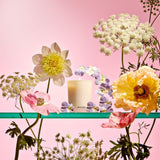 APOTHEKE · Elderflower Sugar Votive Candle | socius design in Rochester, MN