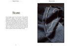 MERCHANT & MILLS · Elementary Sewing Skills · Merchant & Mills | socius design in Rochester, MN