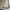 Tala US · Elva E26 LED Bulb | socius design in Rochester, MN