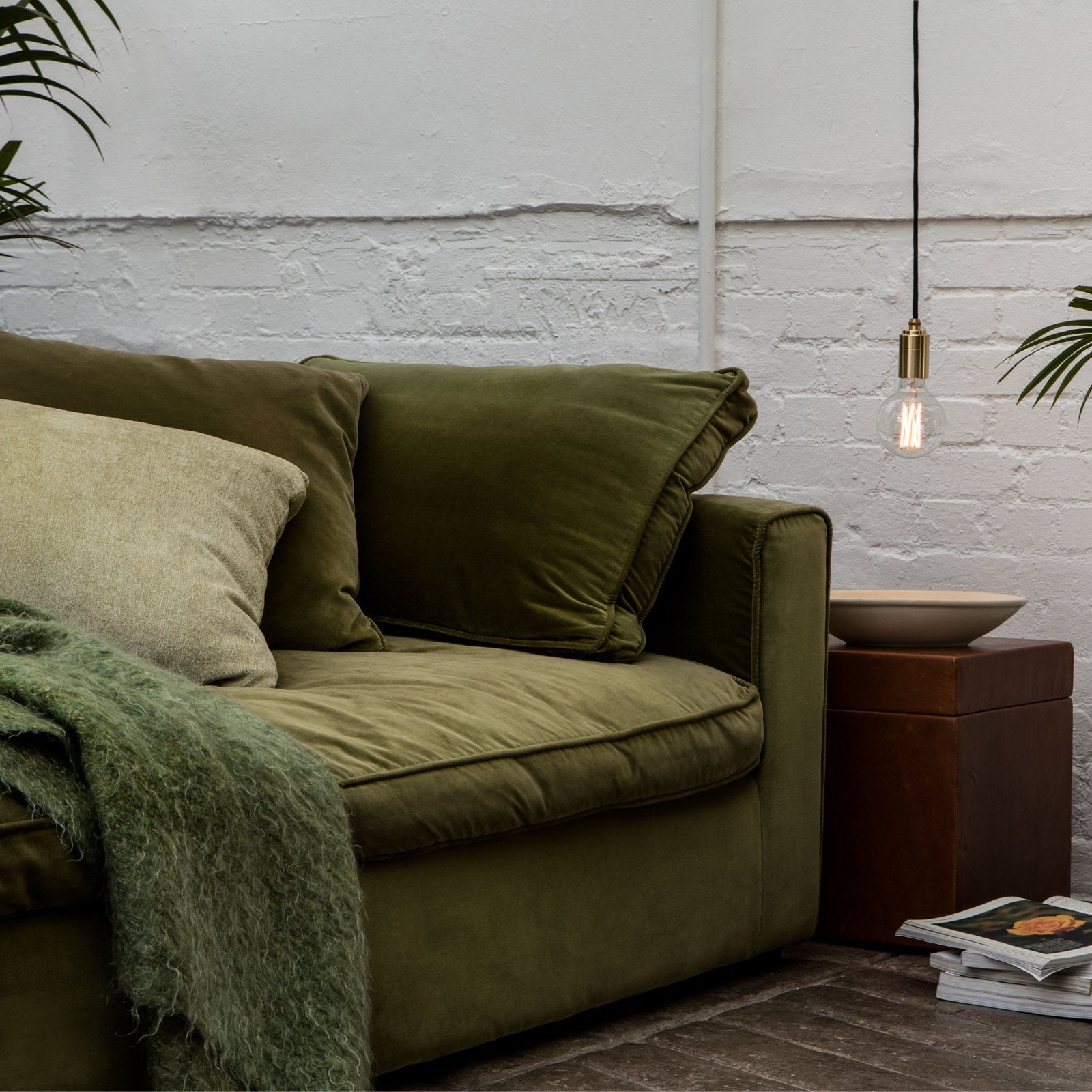 Tala US · Elva Pendant Light Tinted in Brass | socius design in Rochester, MN