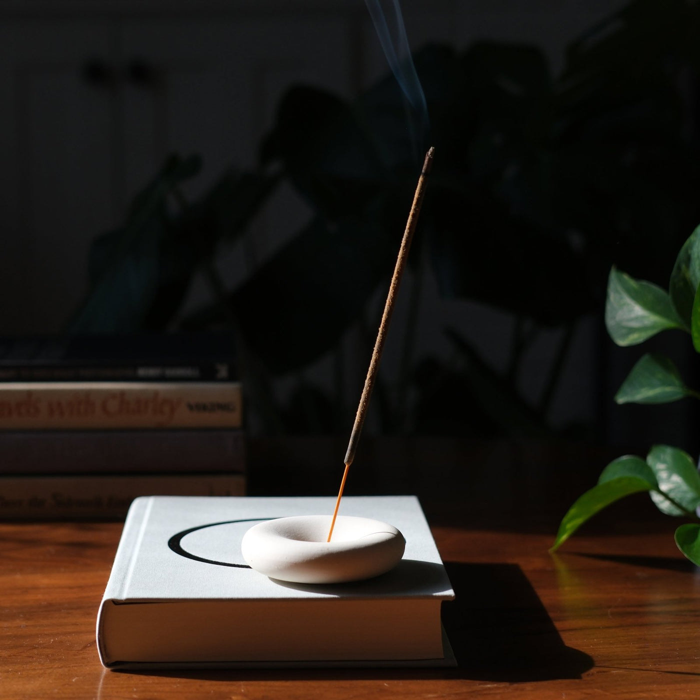 Misewell · Eve Stoneware Incense Holder | socius design in Rochester, MN