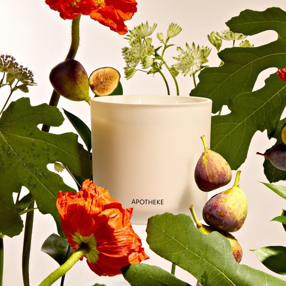 APOTHEKE · Fig and Olive Leaf 3-Wick Candle | socius design in Rochester, MN