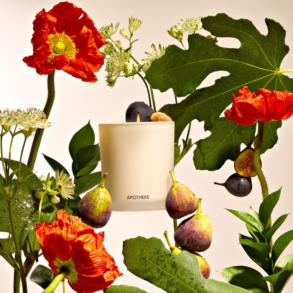 APOTHEKE · Fig and Olive Leaf Classic Candle | socius design in Rochester, MN