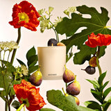 APOTHEKE · Fig and Olive Leaf Classic Candle | socius design in Rochester, MN