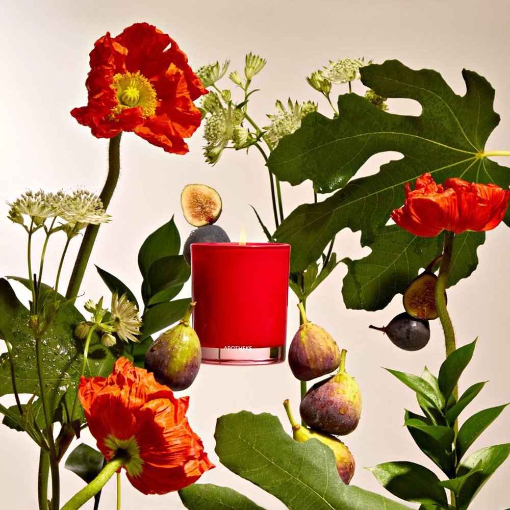 APOTHEKE · Fig and Olive Leaf Petite Candle | socius design in Rochester, MN