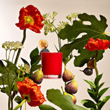 APOTHEKE · Fig and Olive Leaf Petite Candle | socius design in Rochester, MN