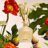 APOTHEKE · Fig and Olive Leaf Reed Diffuser | socius design in Rochester, MN