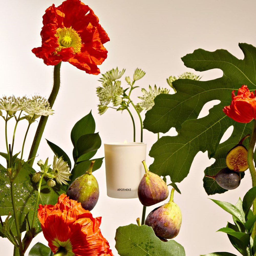 APOTHEKE · Fig and Olive Leaf Votive Candle | socius design in Rochester, MN