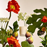 APOTHEKE · Fig and Olive Leaf Votive Candle | socius design in Rochester, MN