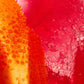 Figlia · Figlia: Fiore Frizzante Non - Alcoholic Spritz | socius design in Rochester, MN