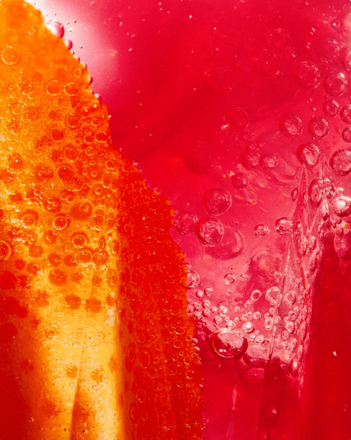 Figlia · Figlia: Fiore Frizzante Non - Alcoholic Spritz | socius design in Rochester, MN