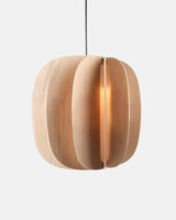 Misewell · Fin II Pendant | socius design in Rochester, MN