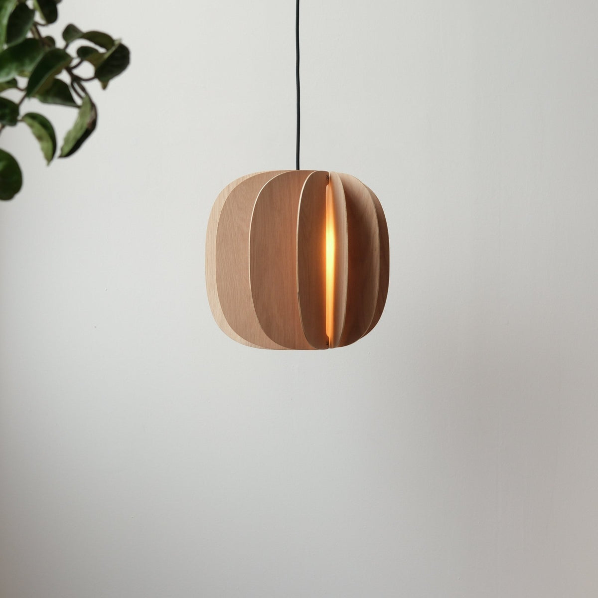 Misewell · Fin II Pendant | socius design in Rochester, MN