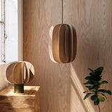 Misewell · Fin III Pendant | socius design in Rochester, MN