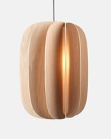 Misewell · Fin III Pendant | socius design in Rochester, MN