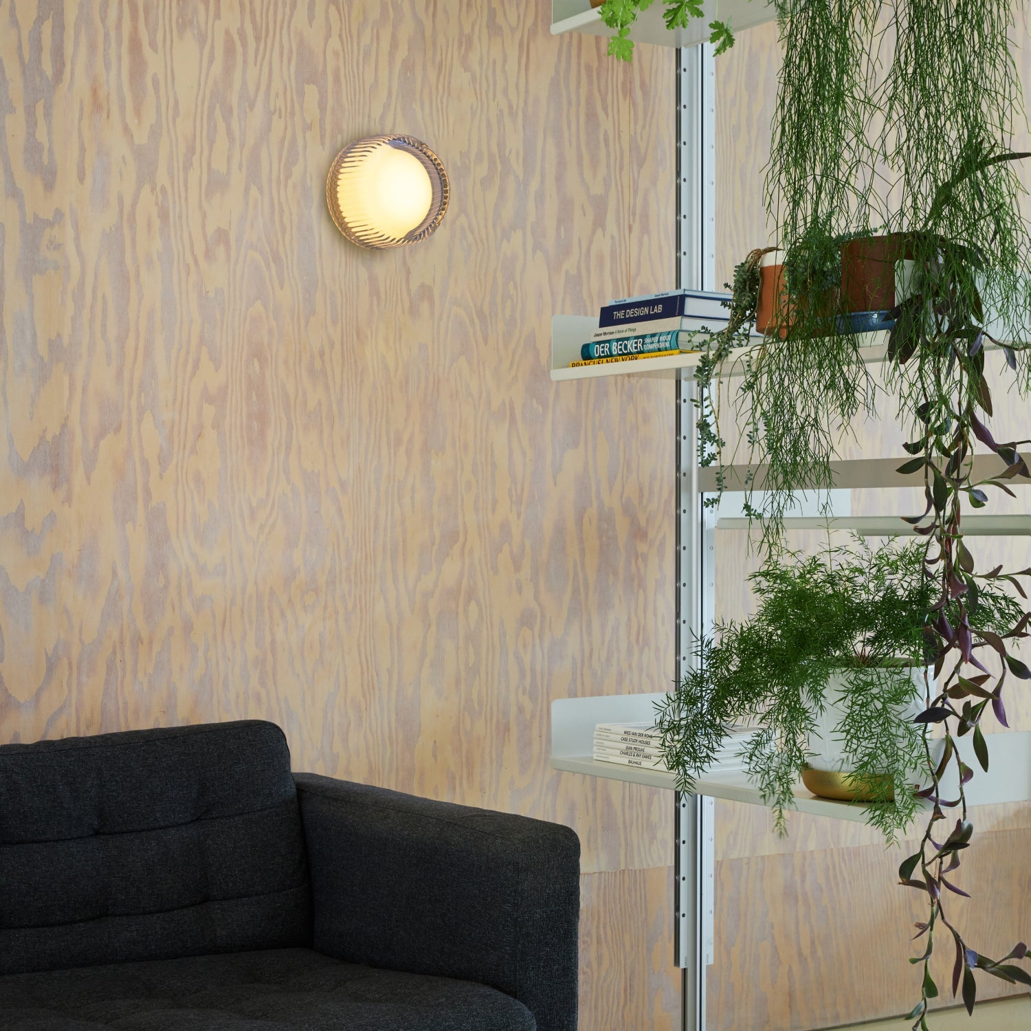 Tala US · Firth Wall Light | socius design in Rochester, MN
