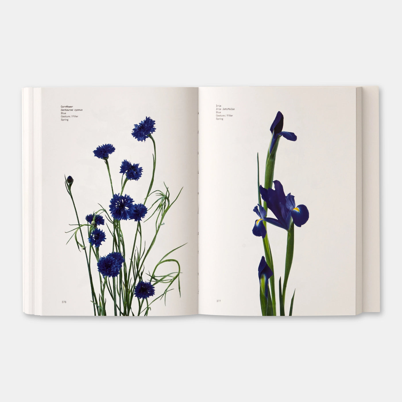 Phaidon · Flower Color Guide | socius design in Rochester, MN
