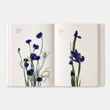 Phaidon · Flower Color Guide | socius design in Rochester, MN