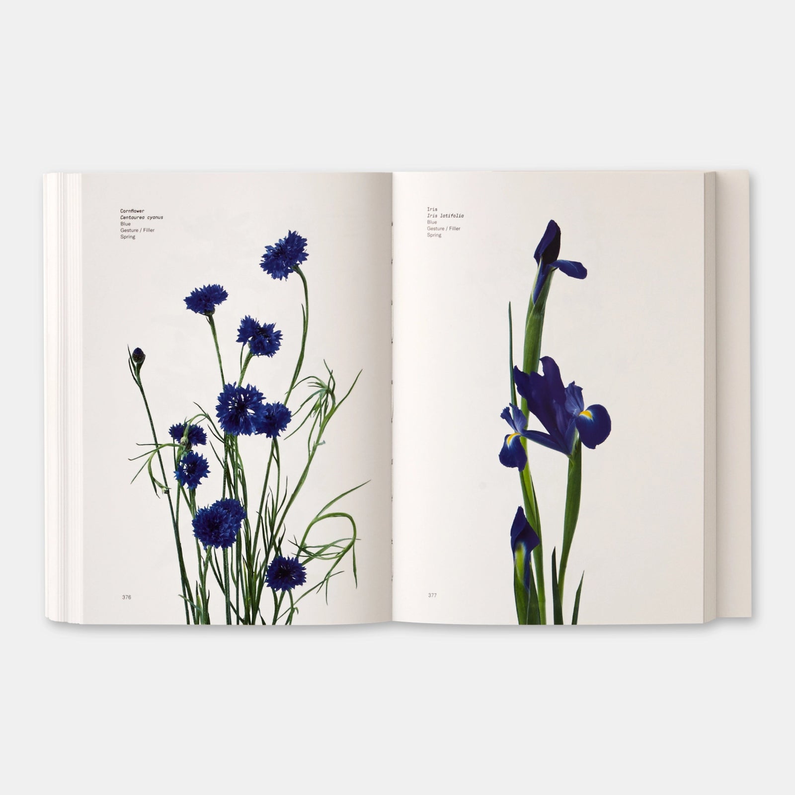Phaidon · Flower Color Guide | socius design in Rochester, MN