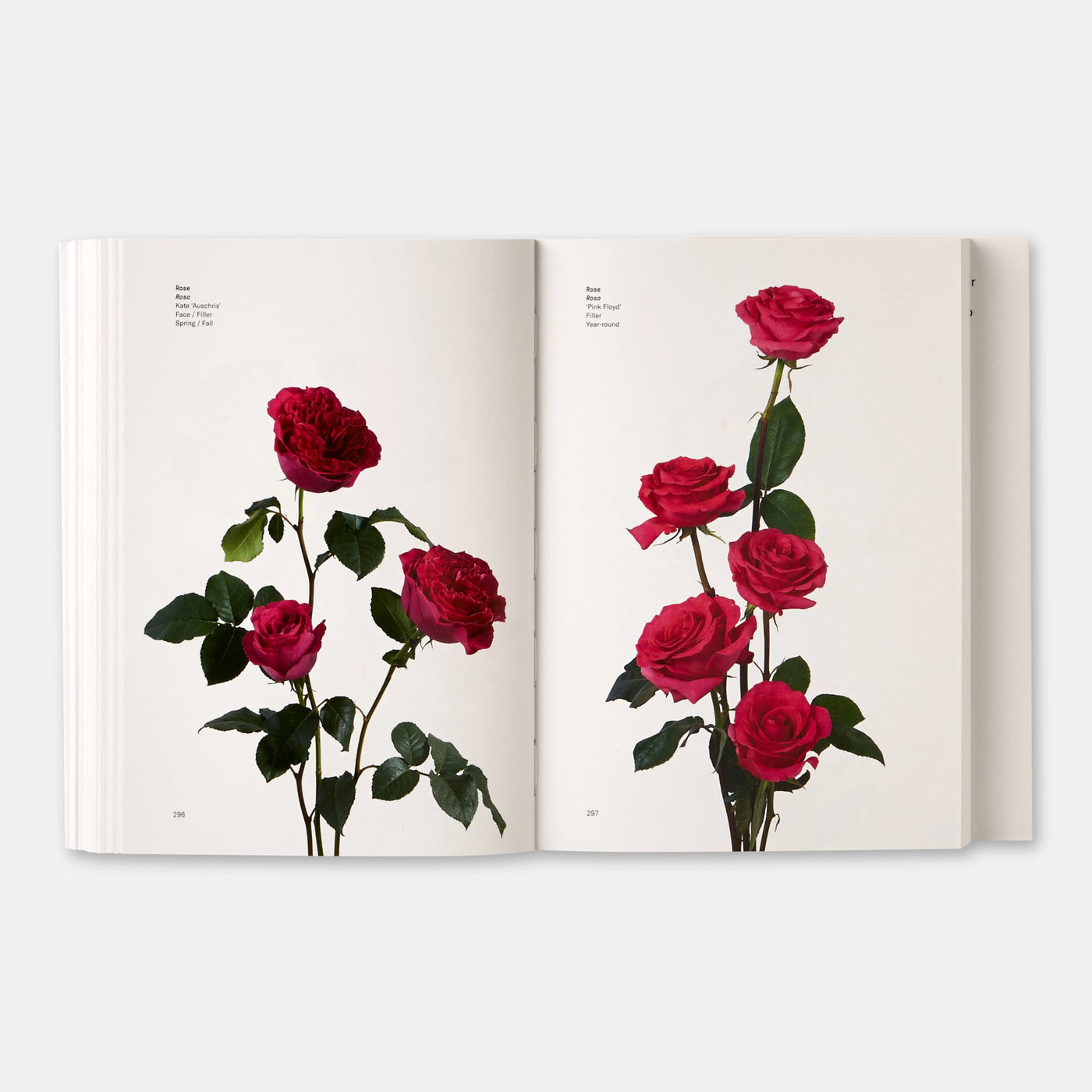 Phaidon · Flower Color Guide | socius design in Rochester, MN