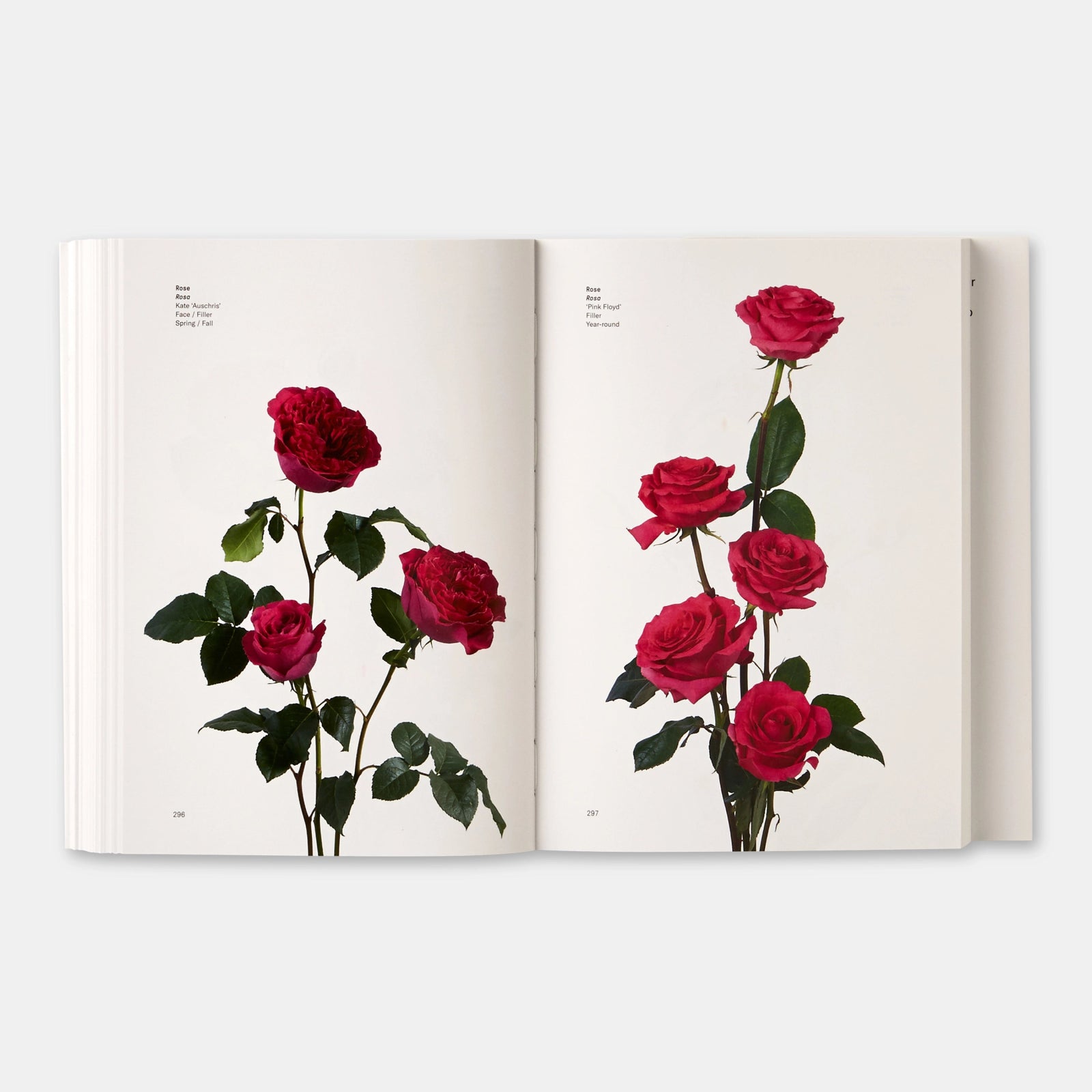 Phaidon · Flower Color Guide | socius design in Rochester, MN