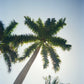 Fotofoto · Fotofoto FF - 1 Sustainable Disposable Camera | socius design in Rochester, MN