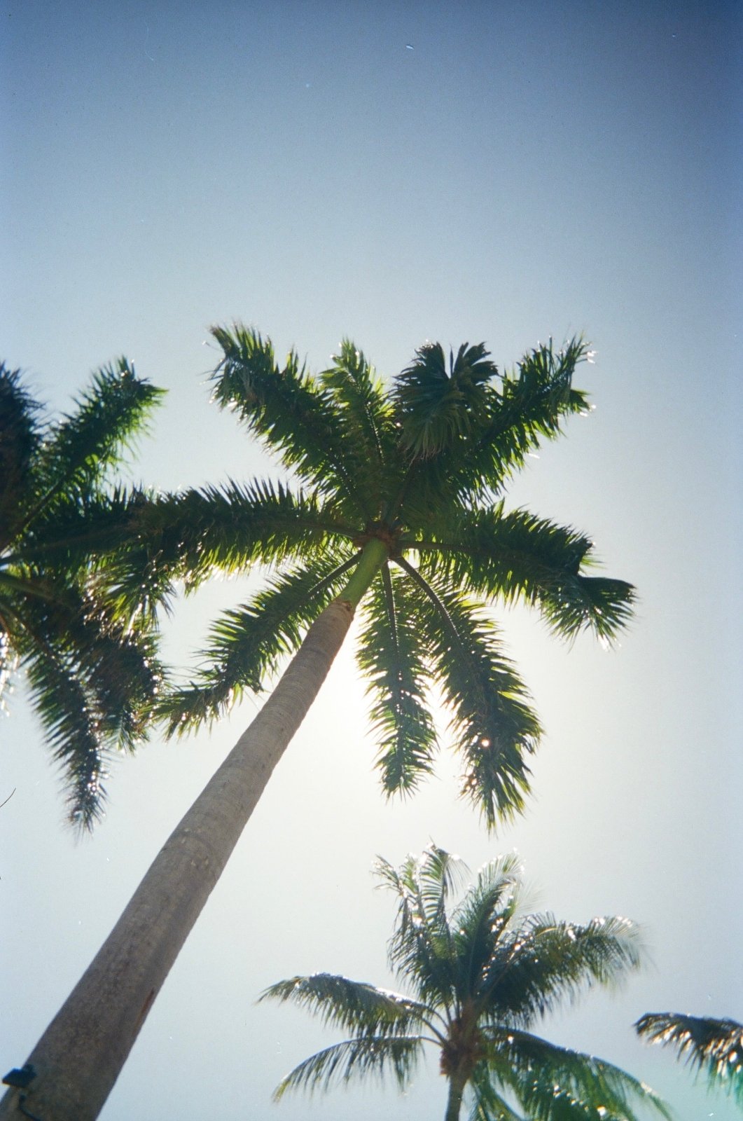 Fotofoto · Fotofoto FF - 1 Sustainable Disposable Camera | socius design in Rochester, MN