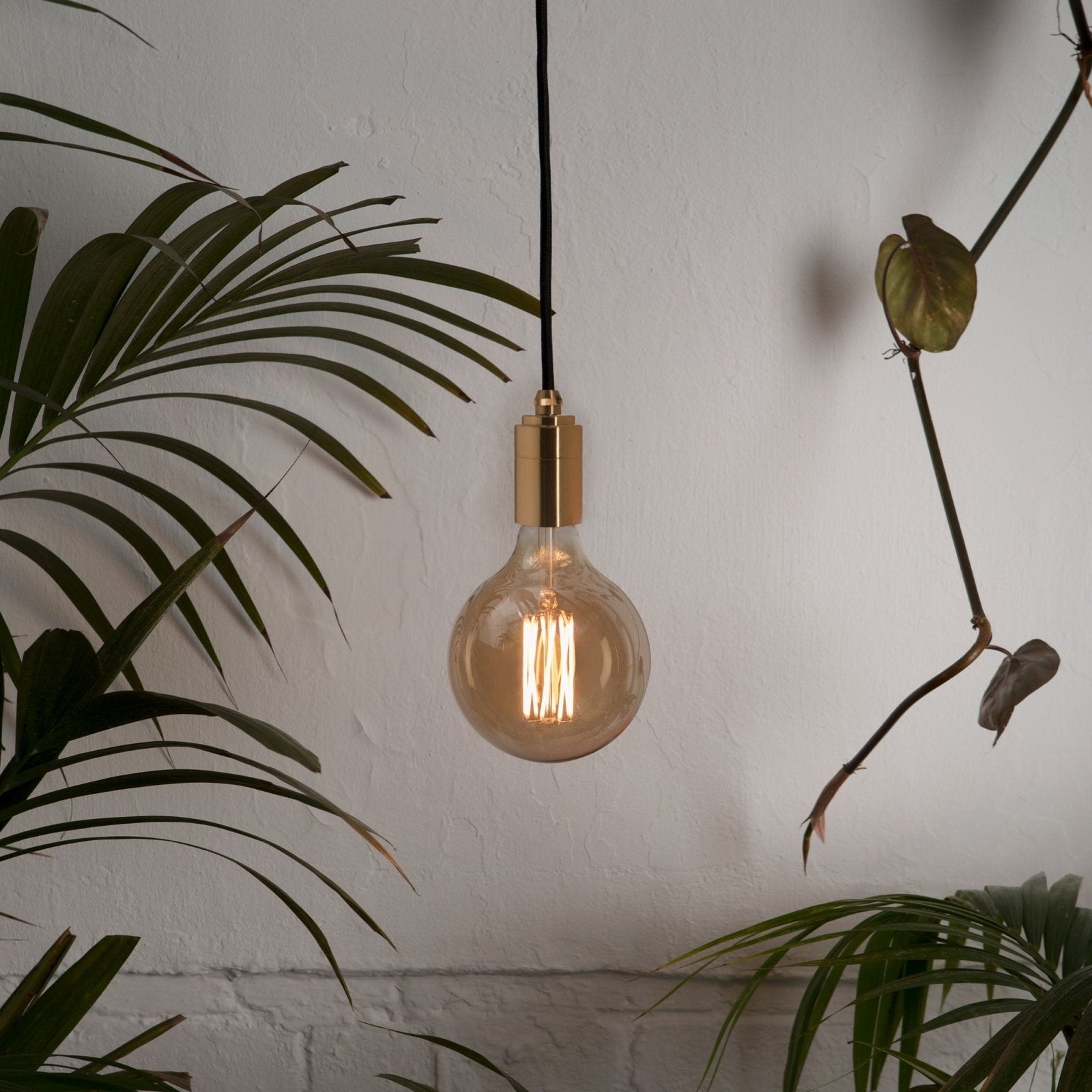 Tala US · Gaia Plug - In Pendant in Brass | socius design in Rochester, MN