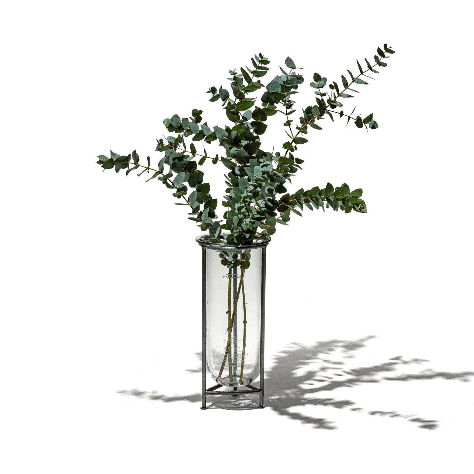 Puebco · Glass Tube Vase with Steel Stand | socius design in Rochester, MN