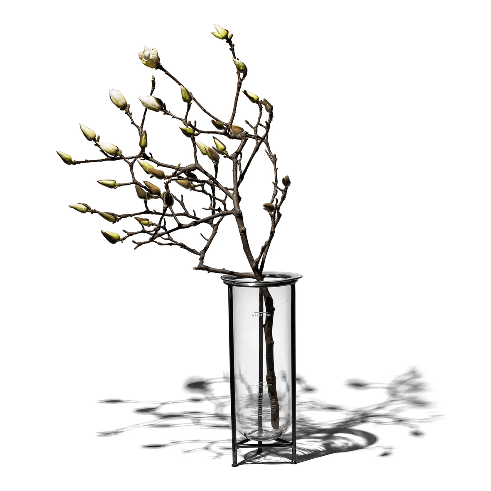 Puebco · Glass Tube Vase with Steel Stand | socius design in Rochester, MN