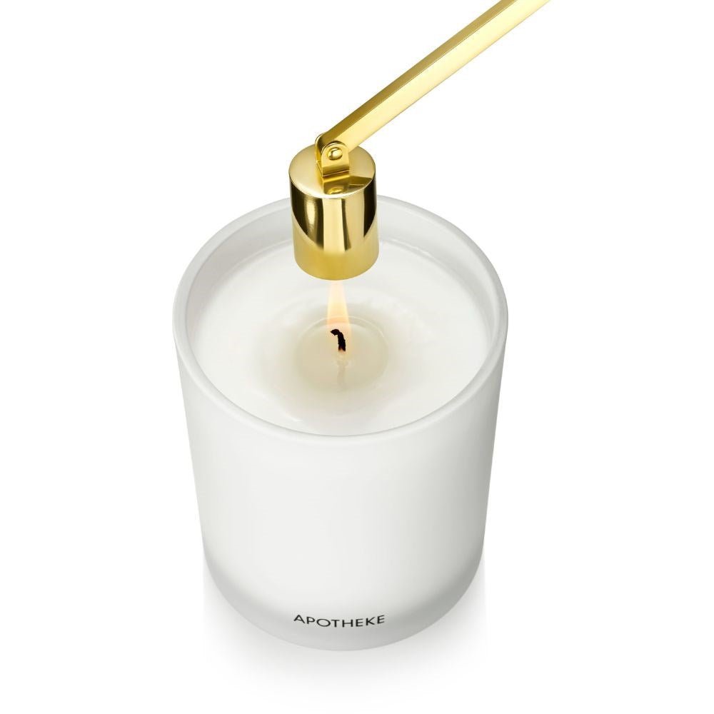 APOTHEKE · Gold Wick Snuffer | socius design in Rochester, MN