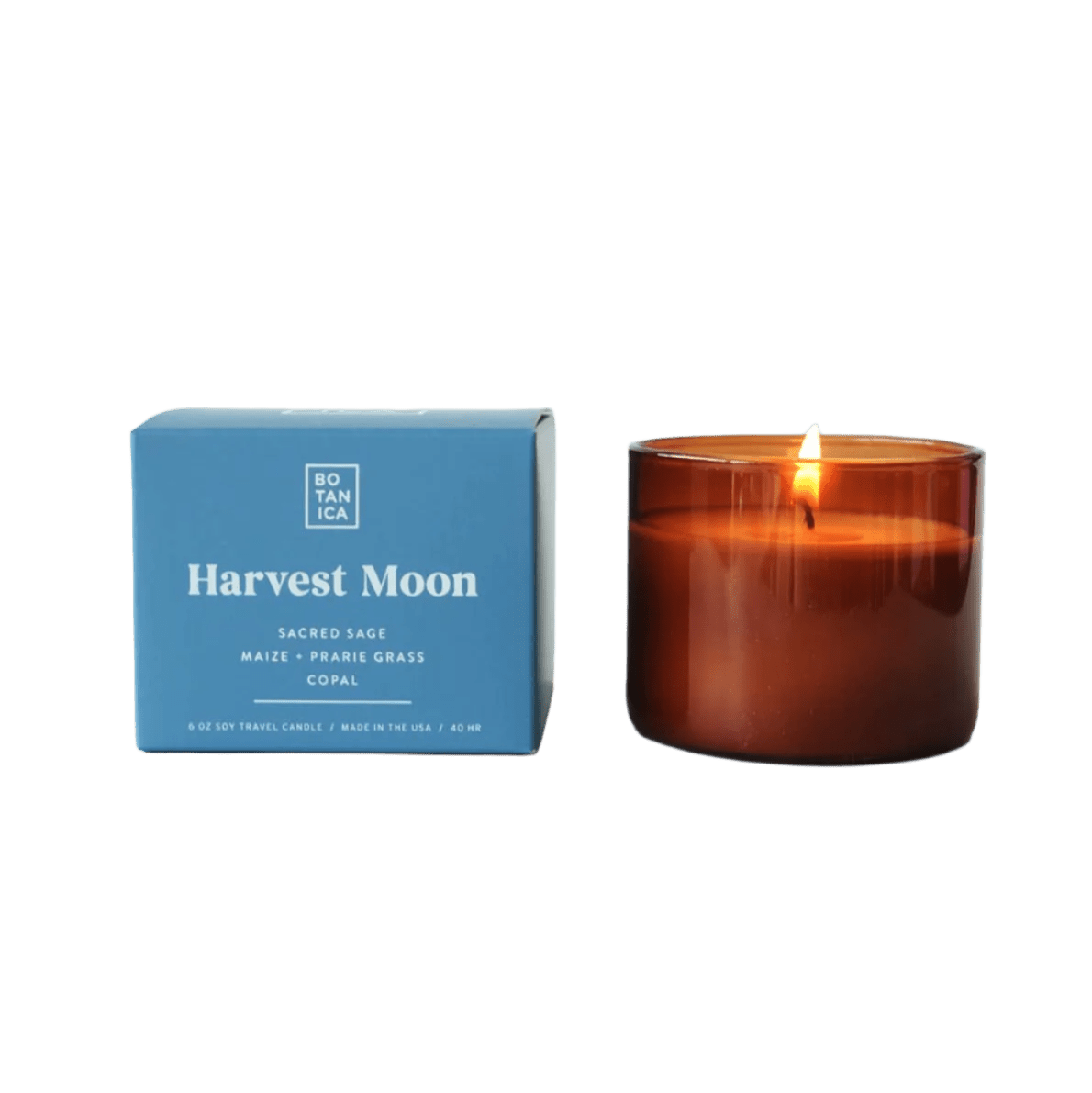 BOTANICA · Harvest Moon 6 oz Votive Candle | socius design in Rochester, MN