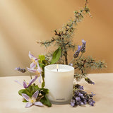 APOTHEKE · Hinoki Lavender Classic Candle | socius design in Rochester, MN