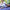 Botnia · Lavender Hydrosol | socius design in Rochester, MN