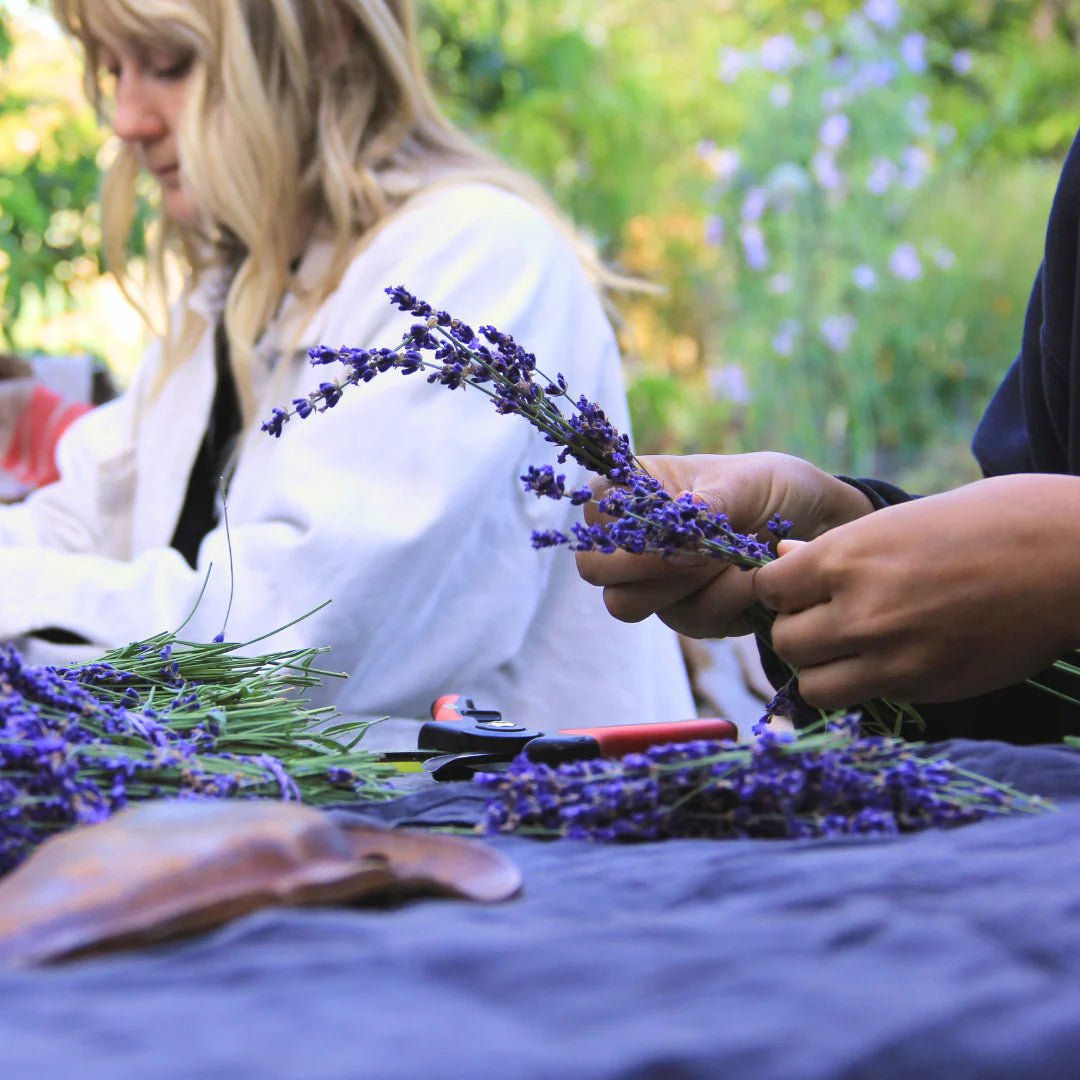 Botnia · Lavender Hydrosol | socius design in Rochester, MN