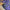 Botnia · Lavender Hydrosol | socius design in Rochester, MN