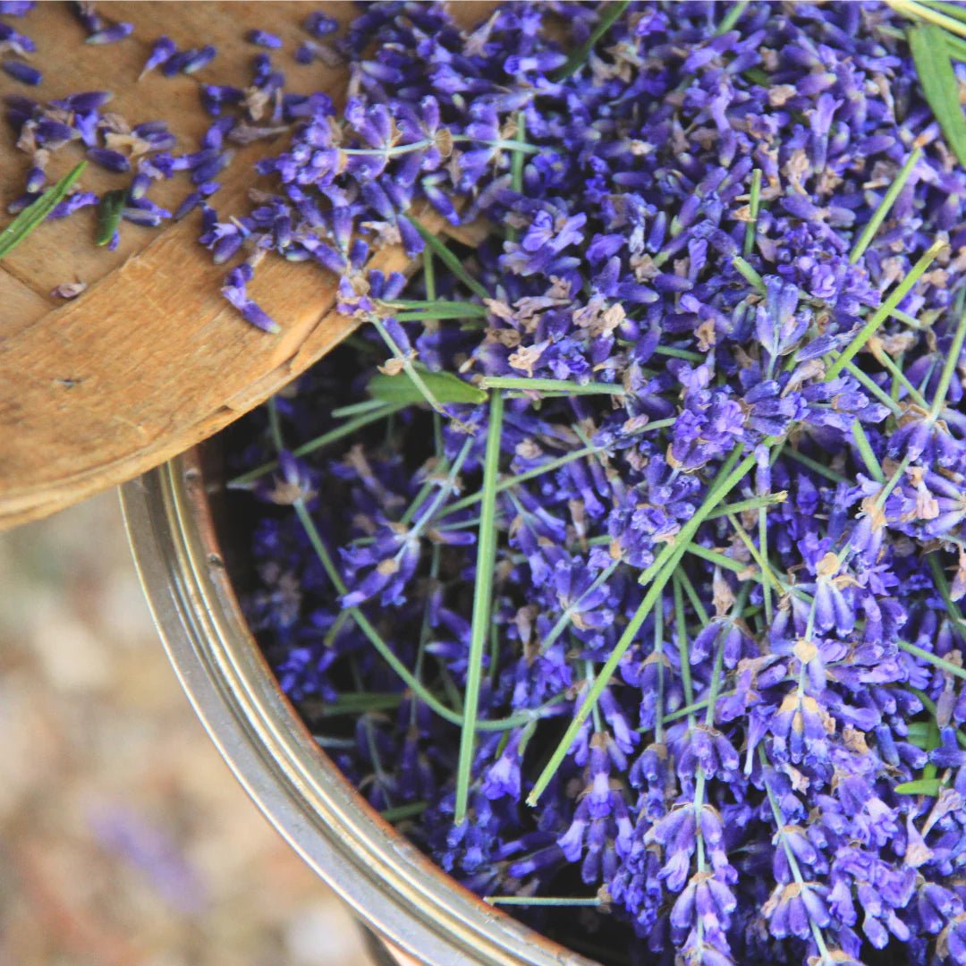 Botnia · Lavender Hydrosol | socius design in Rochester, MN