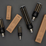 Tala US · Light Engine III E26 Dim-to-Warm LED Bulb | socius design in Rochester, MN
