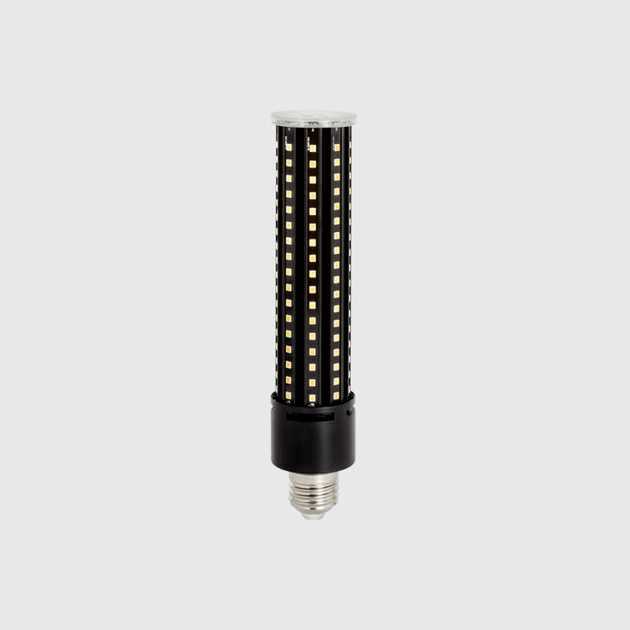 Tala US · Light Engine III E26 Dim-to-Warm LED Bulb | socius design in Rochester, MN