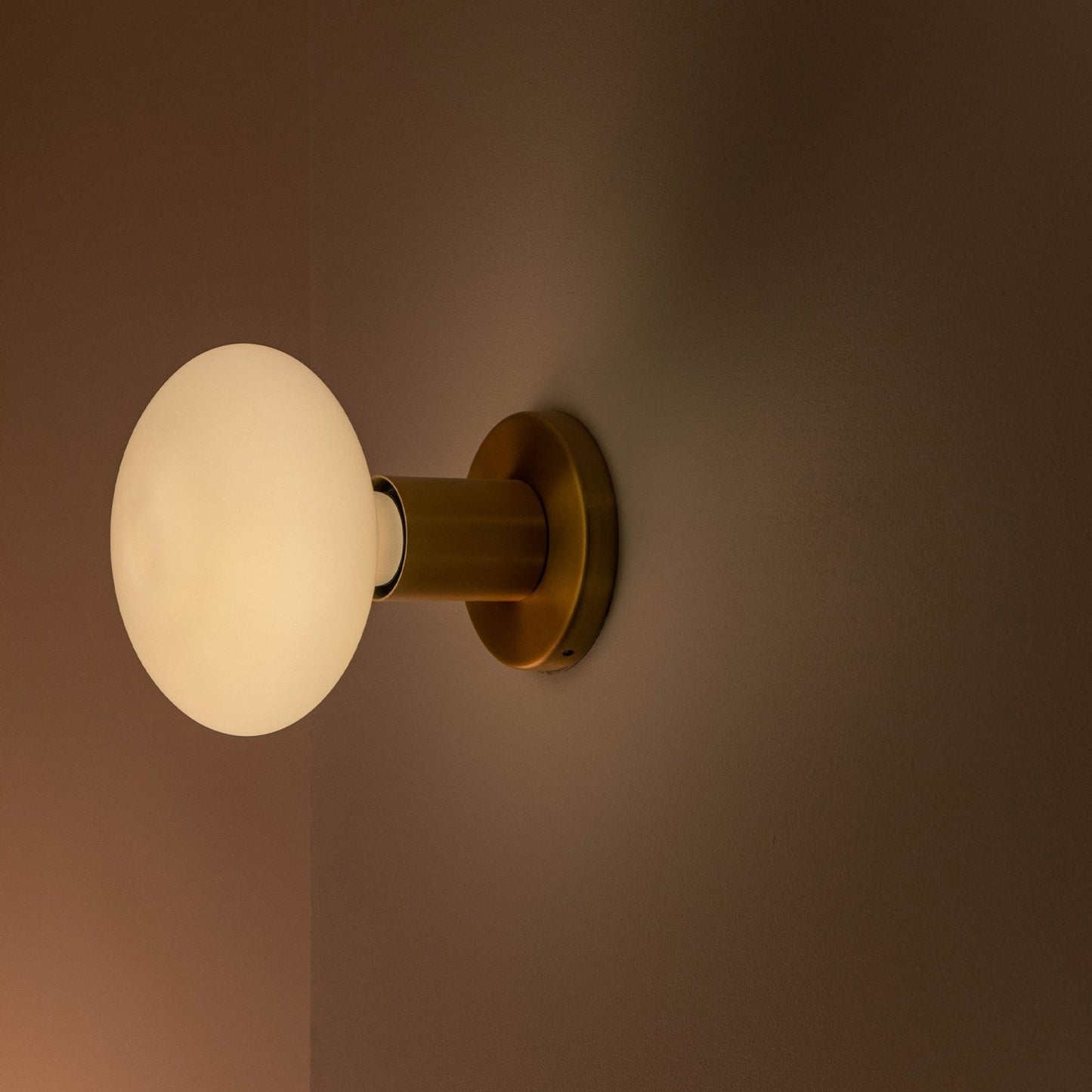 Tala US · Lochan Wall Light in Brass + Oval | socius design in Rochester, MN