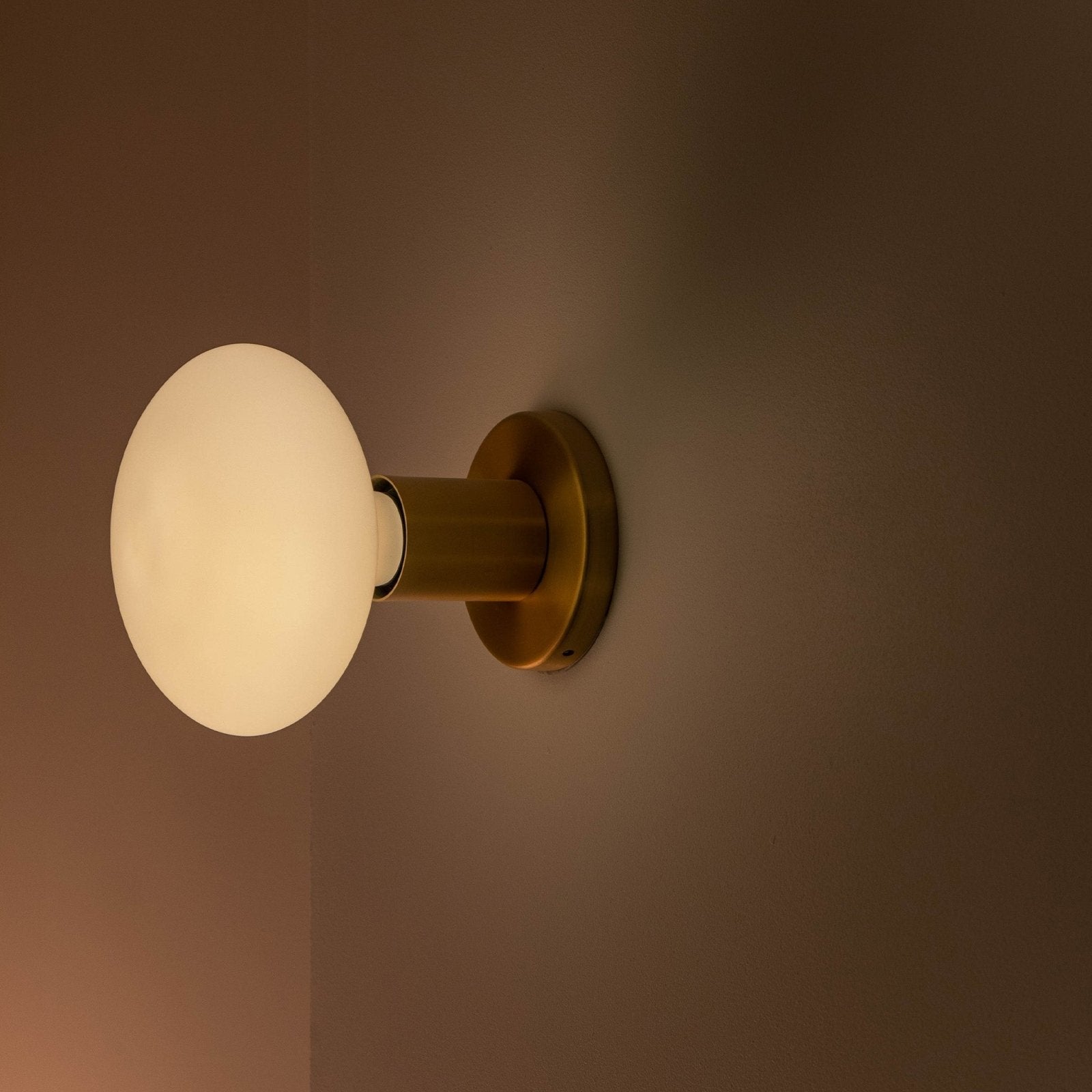 Tala US · Lochan Wall Light in Brass + Oval | socius design in Rochester, MN