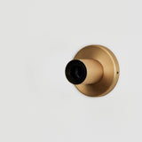 Tala US · Lochan Wall Light in Brass + Voronoi I | socius design in Rochester, MN