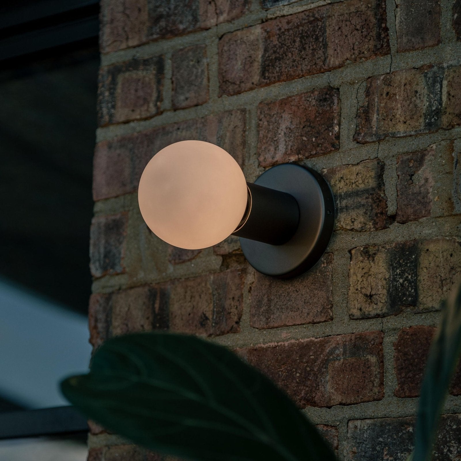 Tala US · Lochan Wall Light in Graphite | socius design in Rochester, MN