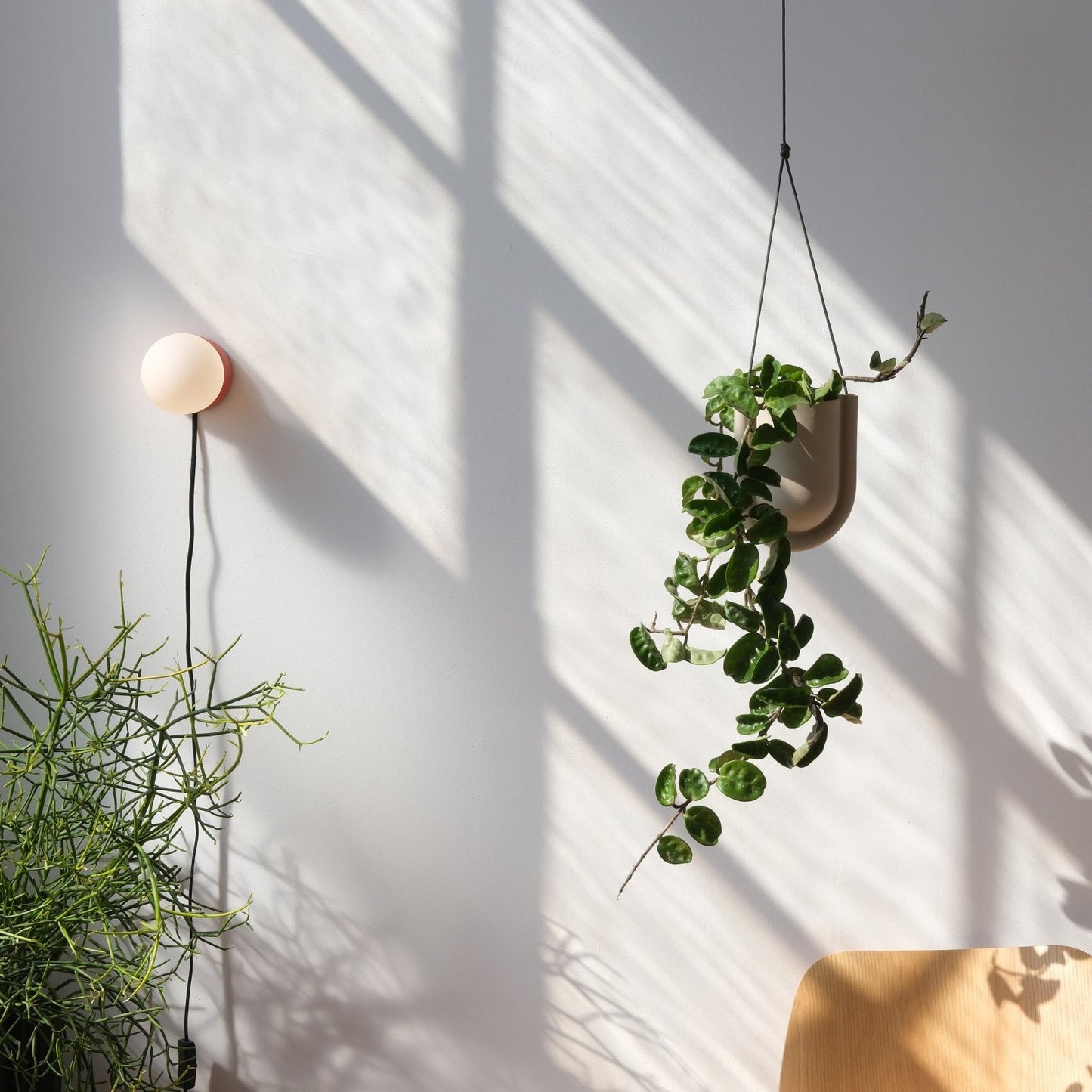 Misewell · Monroe Small Sconce | socius design in Rochester, MN