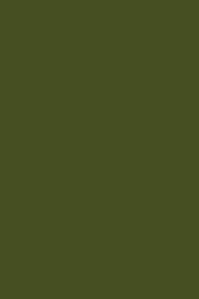 Mustard Made · Mustard Made Color Swatch | socius design in Rochester, MN