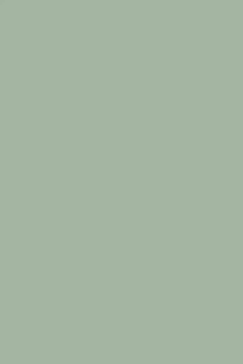 Mustard Made · Mustard Made Color Swatch | socius design in Rochester, MN