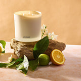 APOTHEKE · Orange Blossom Neroli 3-Wick Candle | socius design in Rochester, MN