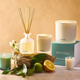 APOTHEKE · Orange Blossom Neroli Classic Candle | socius design in Rochester, MN